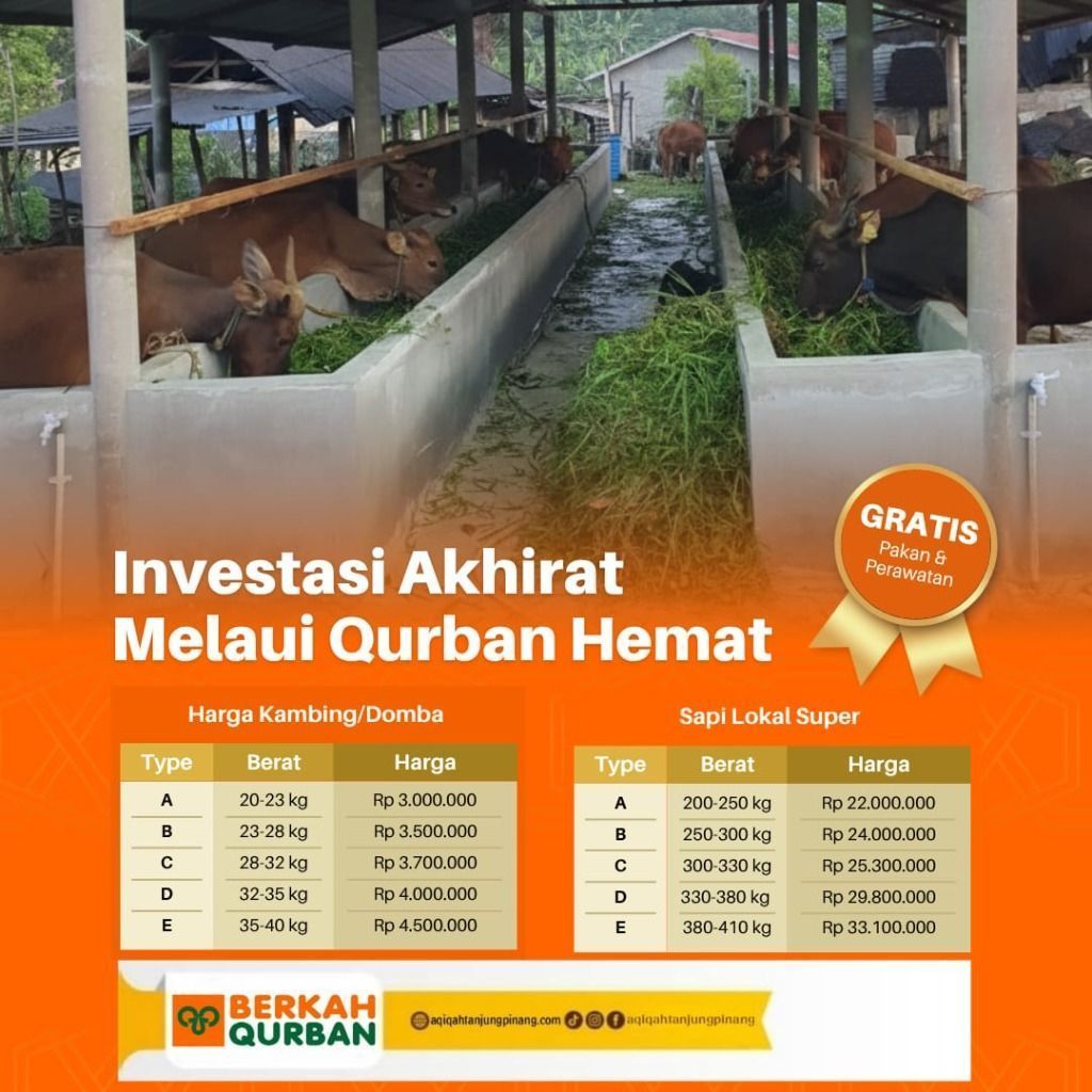 Daftar harga kambing qurban Berkah Aqiqah